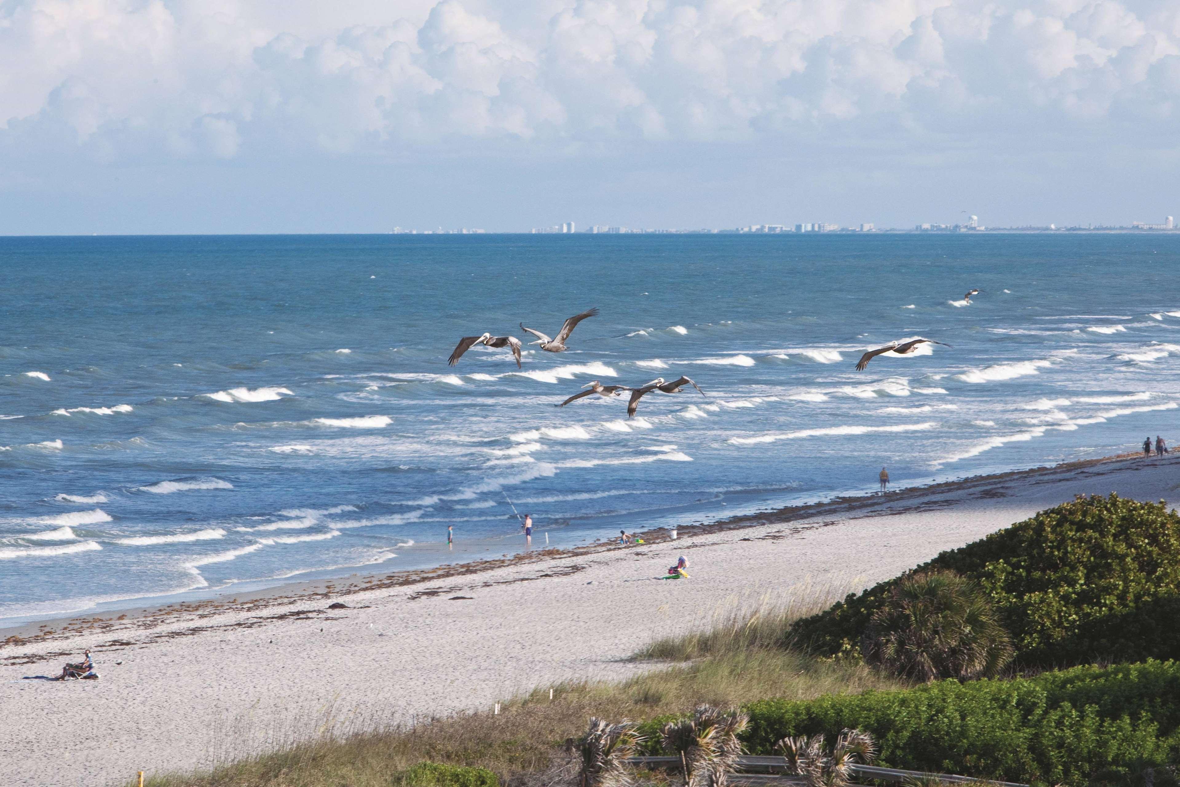 La Quinta By Wyndham Cocoa Beach Oceanfront Exterior photo